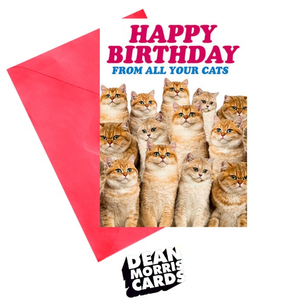 Dean Morris Cards - Поздравителна картичка  "Честит рожден ден от всички твои котки" 1